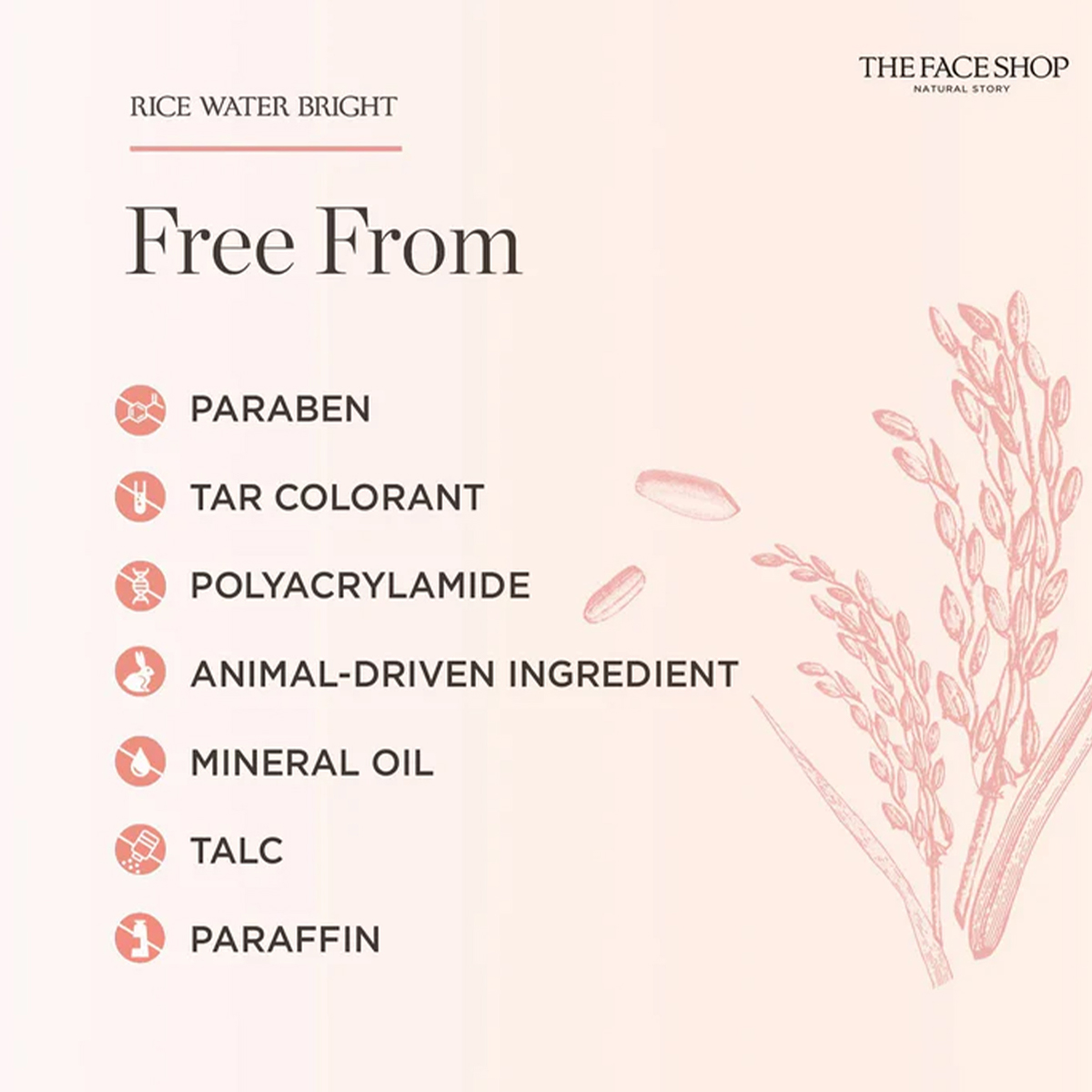 THE FACE SHOP RICE WATER BRIGH - High Luxury Skincare ulasan dan harga